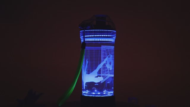 Light Up LED Multicolour Water Bottle with 3D Soccer Lamp